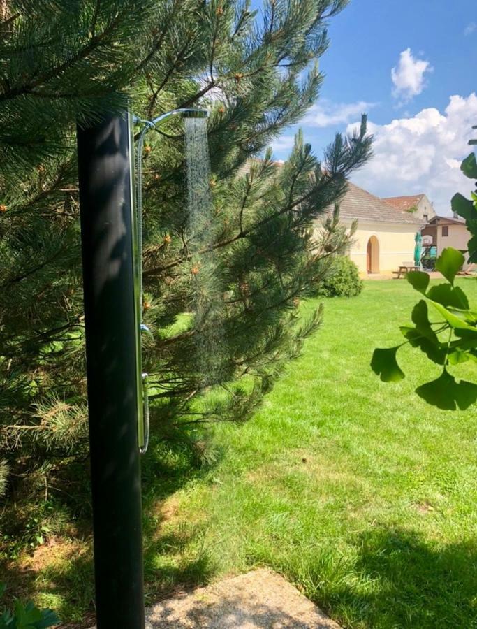 Apartmanove Ubytovanie Pod Dubom Polny Kesov Eksteriør billede